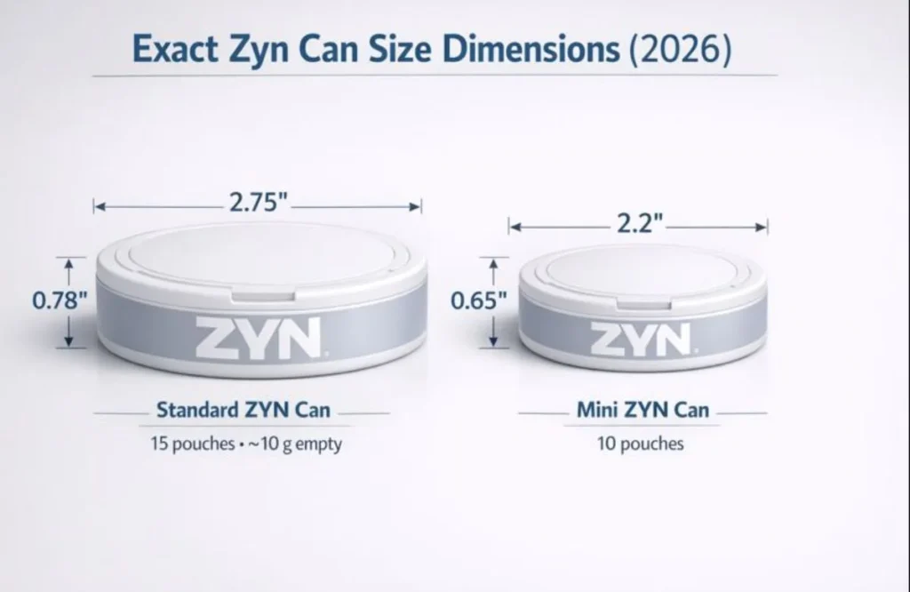 exact-zyn-can-size-dimensions