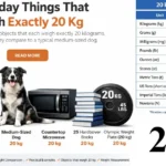 things-that-weigh-20-kg