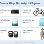 things-that-are-12-kg-weigh