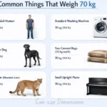 things-that-are-70-kg-weigh