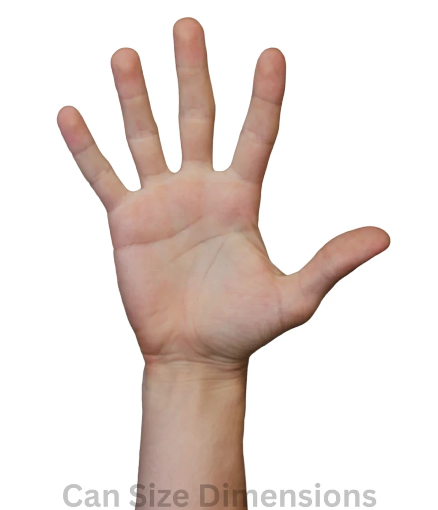 10-inches-hand-span