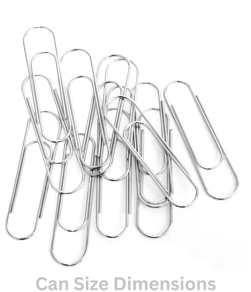 100-gram-paper-clips