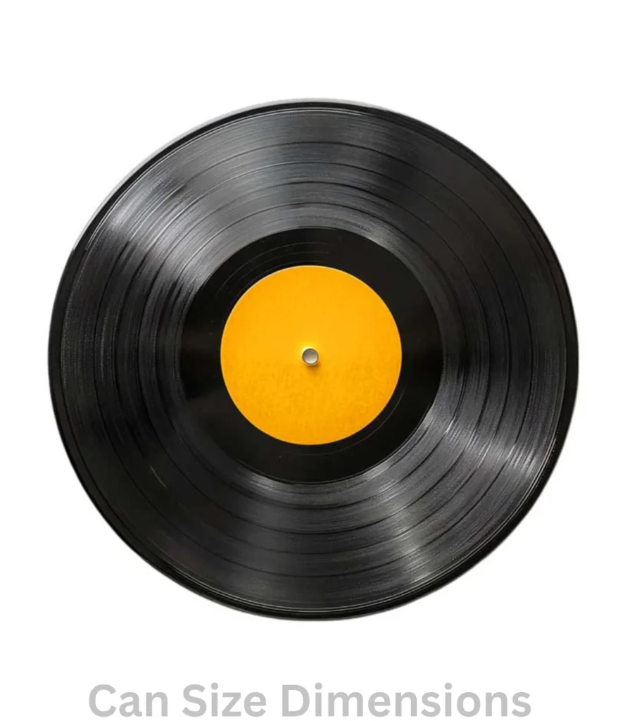 12-inches-vinyl-record