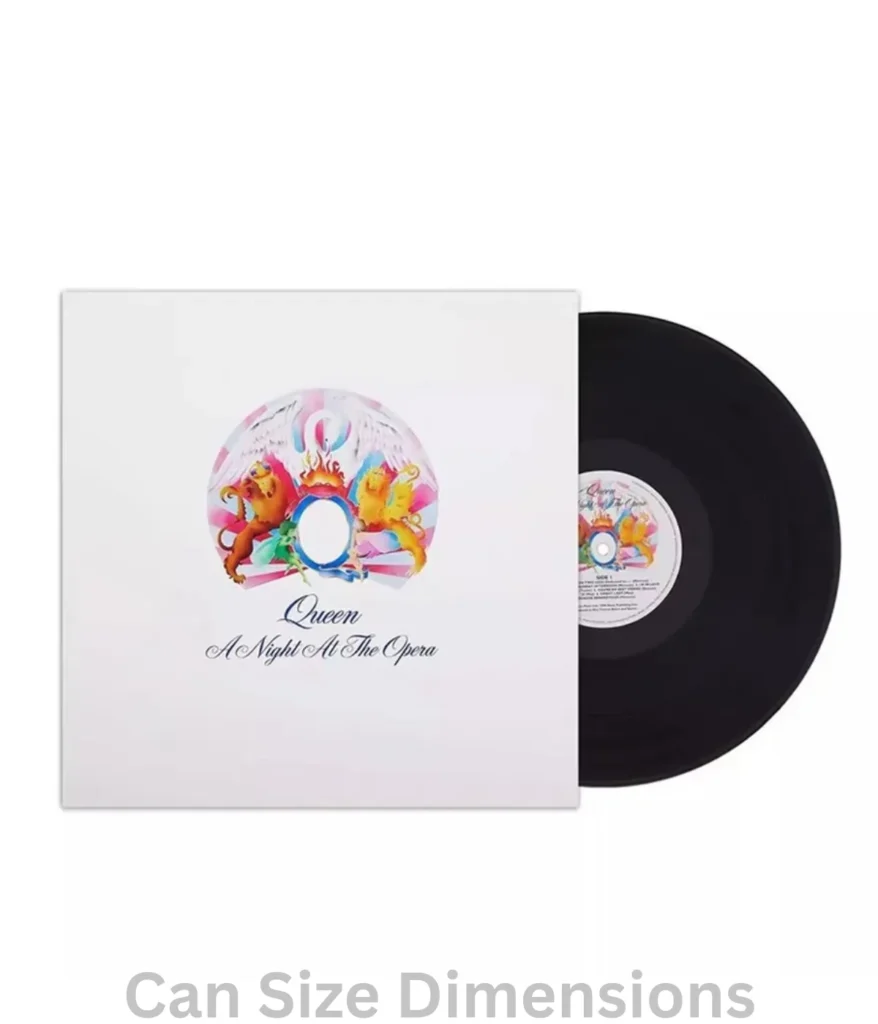 13-inches-vinyl-record