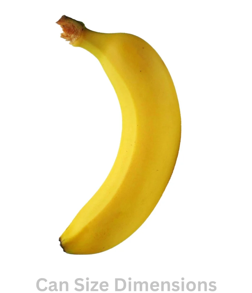 7-inches-banana