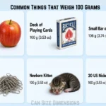 things-are-weigh-100-grams