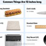 things-that-are-12-inches-long