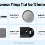 things-that-are-13-inches-long