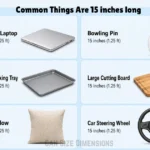 things-that-are-15-inches-long