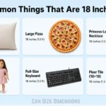 things-that-are-18-inches-long