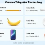 things-that-are-7-inches-long