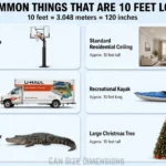 common-things-that-10-feet-long