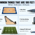 common-things-that-100-feet-long