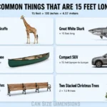 common-things-that-15-feet-long