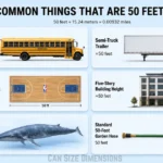 common-things-that-50-feet-long