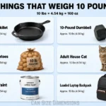 things-that-are-10-pound-weigh