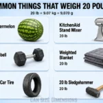 things-that-are-20-pound-weigh